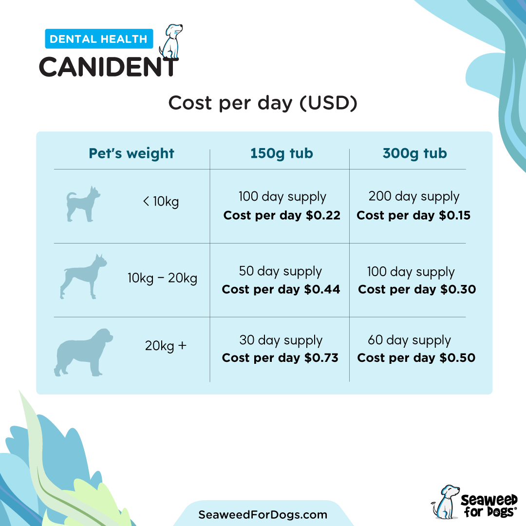Canident - Clean Dogs Teeth (300 g)